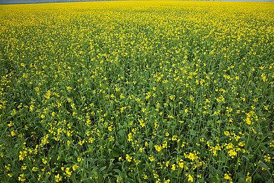 《Moon Watch》PC版免费发布 吸幸类型动作射击